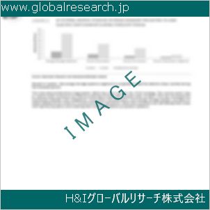 グローバルリサーチ調査資料のイメージ